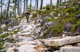Una persona con casco naranja conduce una bicicleta de montaña por un sendero rocoso en Bike Region Glacensis, rodeado de árboles y rocas dispersas.