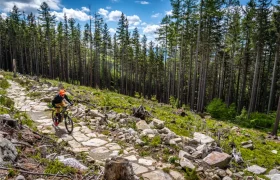 Una persona con casco naranja monta en bicicleta de montaña por un sendero rocoso entre los altos árboles de Bike Region Glacensis bajo un cielo parcialmente nublado.