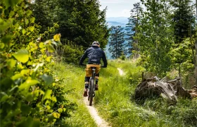 Una persona monta en bicicleta de montaña por un estrecho sendero de tierra a través de los frondosos y verdes bosques de Bike Region Glacensis, con altos árboles y colinas lejanas al fondo.
