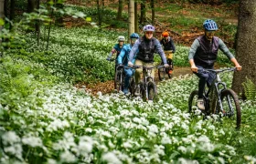 Cinco personas montan en bicicleta de montaña por un estrecho sendero a través de un bosque en la pintoresca Bike Region Glacensis, rodeados de densas manchas de flores silvestres blancas.