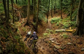 Dos personas montan en bicicleta de montaña por un estrecho sendero de tierra a través del denso y verde bosque y el terreno rocoso de Bike Region Glacensis, esquivando por el camino ramas caídas dispersas.