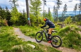 Una persona con casco y equipo de protección conduce una bicicleta de montaña por un sendero de tierra a través de la boscosa Bike Region Glacensis, pasando junto a una marca azul de sendero en un árbol.