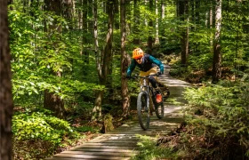 Una persona con casco naranja conduce una bicicleta de montaña por un sendero de madera a través de los verdes y densos bosques de Bike Region Glacensis.
