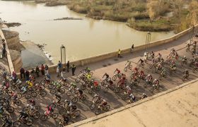 Licencias de ciclismo