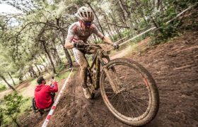 Licencias de ciclismo, resolvemos todas tus dudas