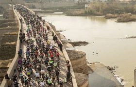 Licencias de ciclismo