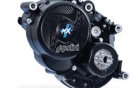 motor_polini