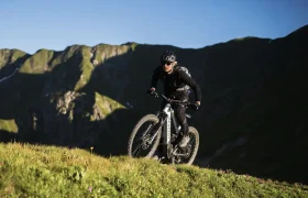 Peugeot cycles regresa