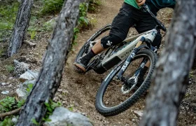 Pivot Shuttle AM