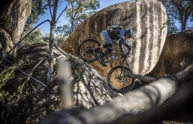 Pivot Switchblade 2024