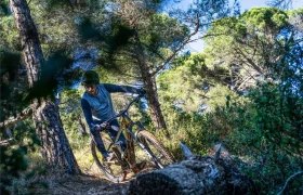 Una persona con casco conduce una bicicleta de montaña equipada con un motor Bosch Performance Line CX por un sendero de tierra a través de una zona boscosa con pinos y la luz del sol filtrándose.