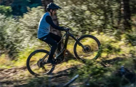 Persona con casco conduce una potente bicicleta eléctrica cuesta arriba por un camino de tierra, propulsada por la Bosch Performance Line CX, rodeada de vegetación y árboles a la luz del día.