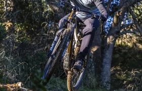 Una persona con casco y gafas de sol monta en una bicicleta de montaña equipada con la potente Bosch Performance Line CX sobre un tronco caído en una pista forestal a plena luz del día.