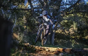 Review Bosch Performance Line CX