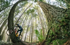 Un ciclista con casco conduce una MTB roja por un sendero forestal, rodeado de árboles altos y densos y una exuberante vegetación, navegando suavemente por el terreno con el RockShox Reverb AXS que mejora su recorrido.