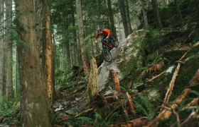 Un ciclista con una chaqueta naranja desciende por un sendero forestal rocoso, con su MTB equipada con la tecnología más avanzada RockShox Reverb AXS, rodeado de árboles altos y frondosos helechos.