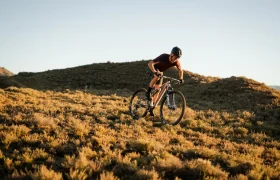 RockShox SID