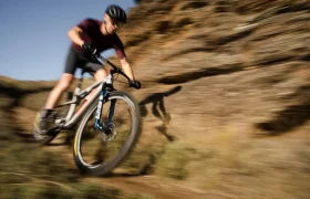 RockShox SID