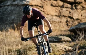 RockShox SID