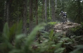 RockShox Vivid 2024