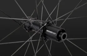 roval-2023-11