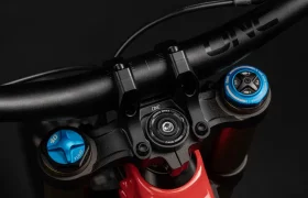 Santa Cruz V10 2024