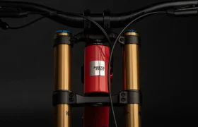 Santa Cruz V10 2024