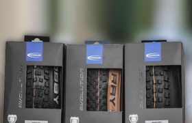 Gama Schwalbe 2021