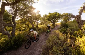 Dos personas con casco circulan en bicicletas de montaña SCOTT Strike 2027, equipadas con el potente motor Bosch CX y una suspensión de 150 mm, por un sendero de tierra que atraviesa una zona boscosa bañada por el sol, con arbustos verdes y árboles.