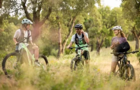 Tres personas, con casco y ropa informal, van en bicicletas eléctricas SCOTT Strike 2027, disfrutando de la comodidad del motor Bosch CX mientras recorren un sendero cubierto de hierba en una zona boscosa, y se detienen para charlar y sonreírse unos a otros.