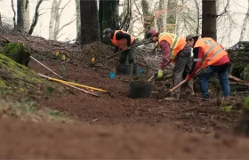 Tres personas que llevan chalecos de seguridad naranjas trabajan en una zona boscosa, cavando en el suelo con palas y cubos.
