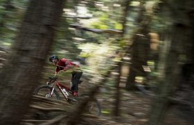 specialized_epic_accion