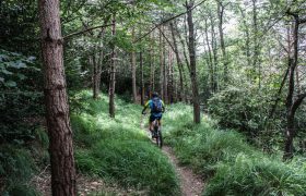 tracks-del-vino-la-rioja-viaje-etapas-btt-3