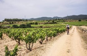 tracks-del-vino-la-rioja-viaje-etapas-btt-5-1