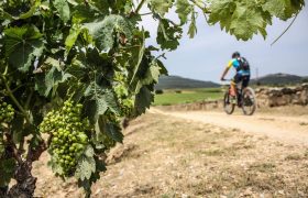tracks-del-vino-la-rioja-viaje-etapas-btt-8