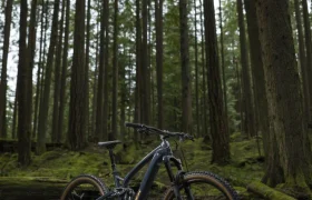 trek-fuel-exe-aluminio-02